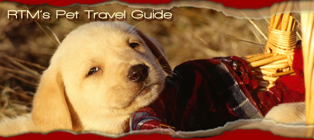 RTM's Pet Travel Guide