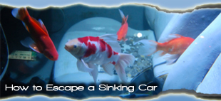 How to Escape a Sinking Car