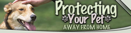 Protecting Your Pet