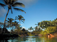 Tropical views at Anara Spa, Grand Hyatt Kauai