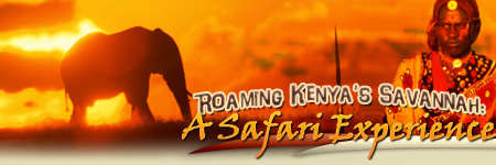 Roaming Kenya's Savannah: A Safari Experience
