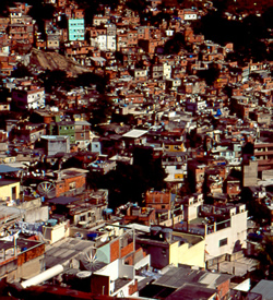 Rocinha Favela