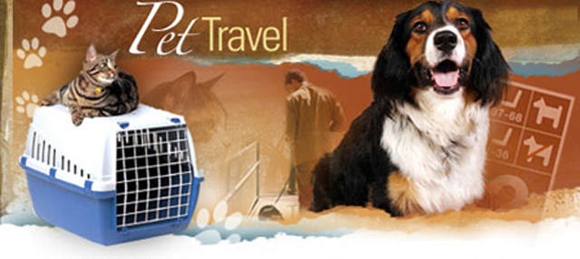 Pet Travel for Cars, Canoes, Planes, Trains, Ships & Road Trips