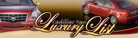 Luxury Car Dealers Survey