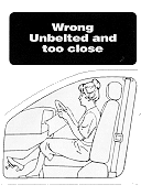 Seatbelt Illustration