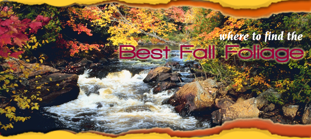 Best Fall Foliage in USA