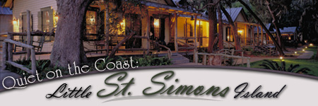 Quiet on the Coast: Little St. Simons Island