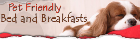 Pet Friendly Bed and Breakfasts