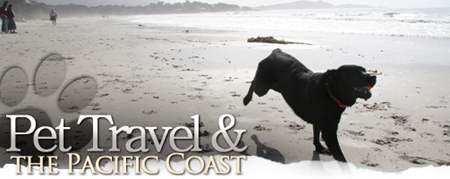 Pet Travel & The Pacific Coast
