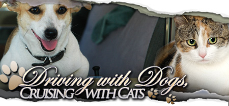 Driving with Dogs, Cruising with Cats