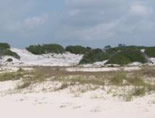 Sand Dunes along Gulf Coast