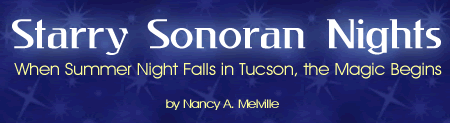 Sonoran Nights Travel Review