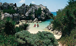 Secluded Beaches of Bermuda