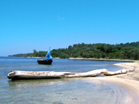 View from Palmetto Bay, Honduras