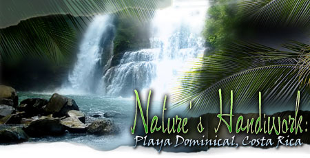 Nature's Handiwork: Playa Dominical, Costa Rica