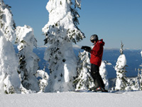 ROAD & TRAVEL Destination Review: Schweitzer Mountain "Snow Ghosts"