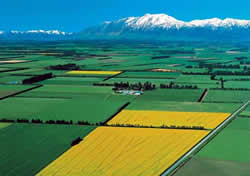 The Plains on the eastern side of the Southern Alps are the largest stretch of flat land in New Zealand.