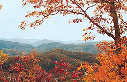 View of The Great Smoky Mountains
