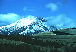 Gallatin Mountain Range