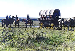 Covered wagon ride with Homestead Ranch in Matfield Green, Kansas